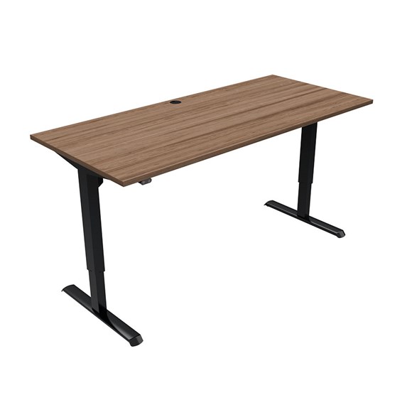 Conset 2-søjlet Hæve-sænkebord 80 kg.